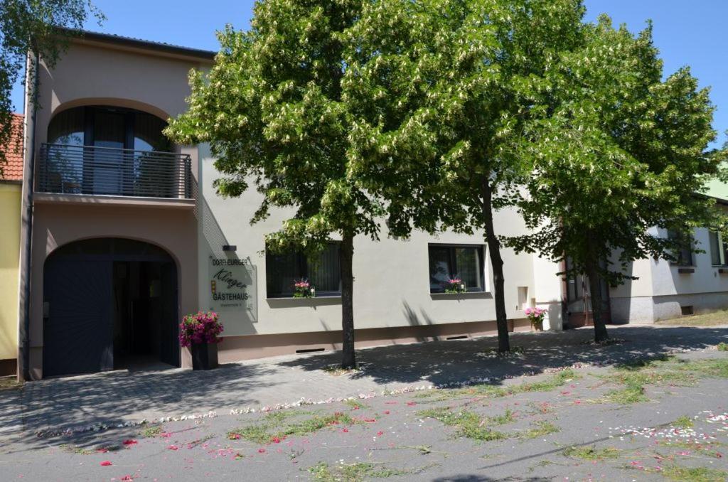 Gaestezimmer Klinger-Tongisch Apetlon Exterior foto